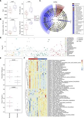 Gut Microbiota as an Objective Measurement for Auxiliary Diagnosis of <mark class="highlighted">Insomnia Disorder</mark>